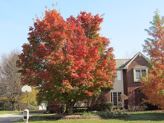 2nd image of 5158 Cameron Dr
