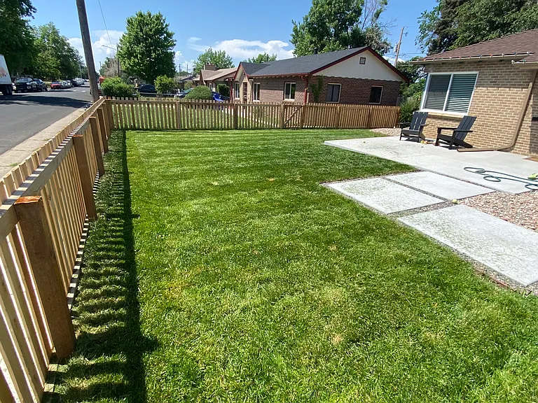 Front yard & patio
