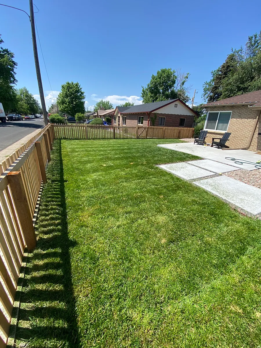 Front yard & patio - 3025 Richard Allen Ct