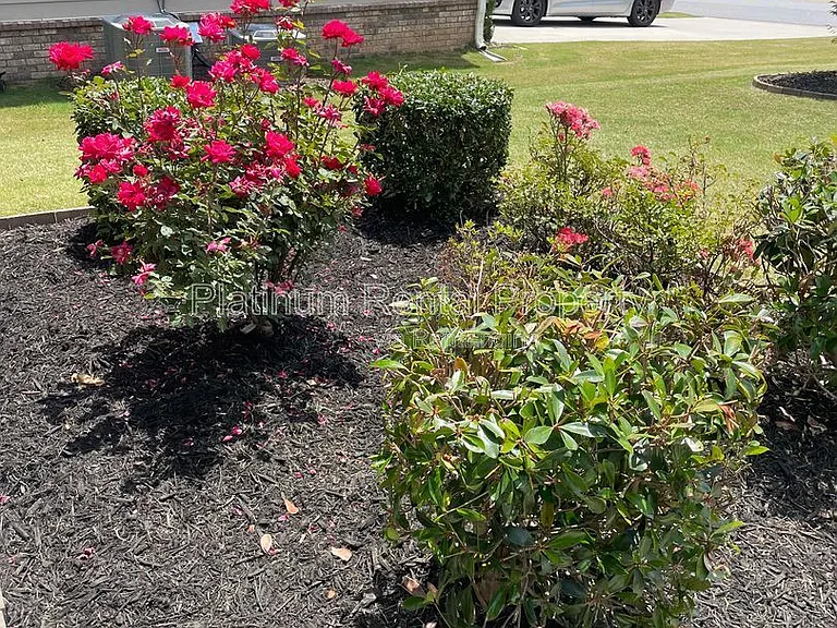 1825 Dahlia Dr — Photo 11