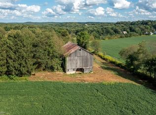 11237 State Route 170, Negley, OH 44441