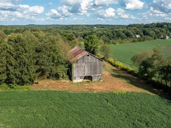 11237 State Route 170, Negley, OH 44441
