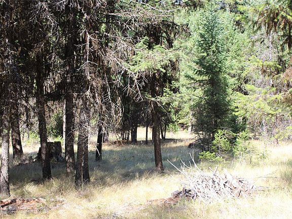 2nd image of 111 TBD Morgan Mountain