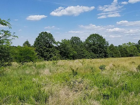 Mostly open some trees 