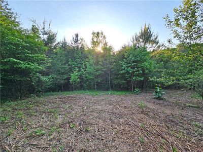 544 B Johnson Rd SE Tract 4, Fairmount, GA, 30139
