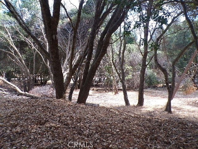 1st image of 4574 Shelter Cv
