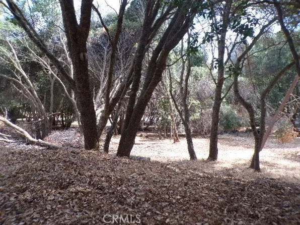 4574 Shelter Cv, Kelseyville, CA 95451