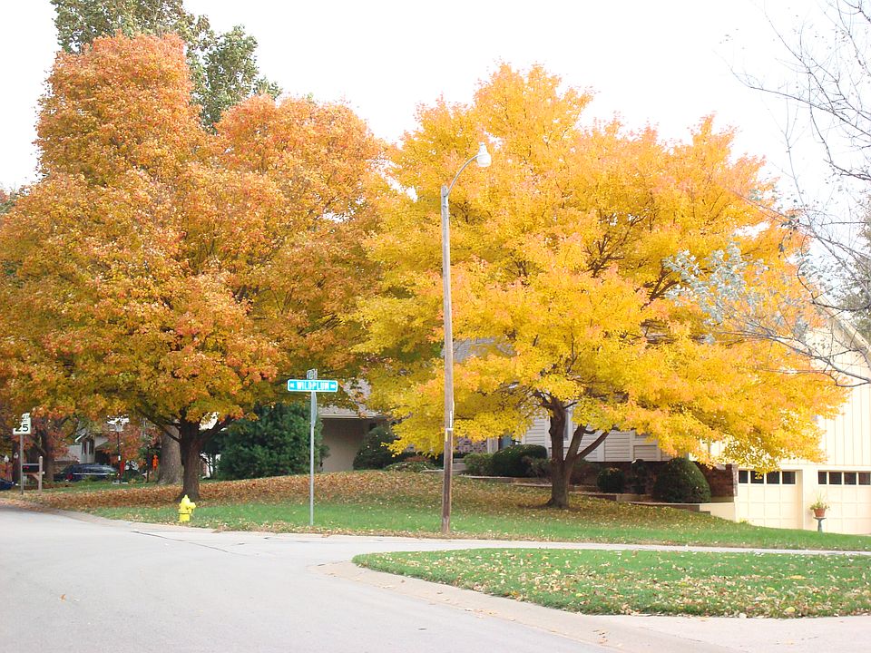 1st image of 501 NE Noeleen Ln