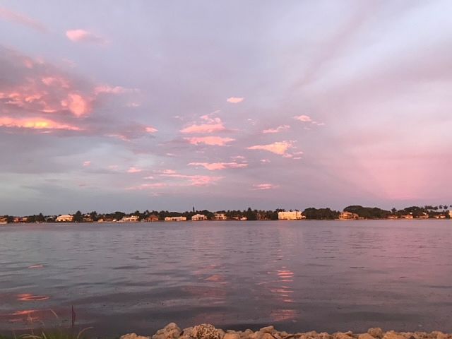 view from poolside deck