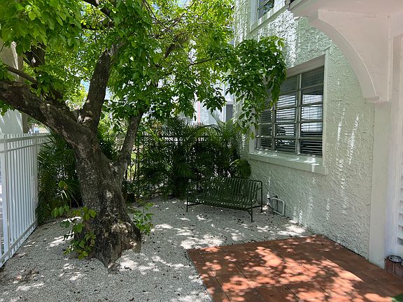 Front garden & trees