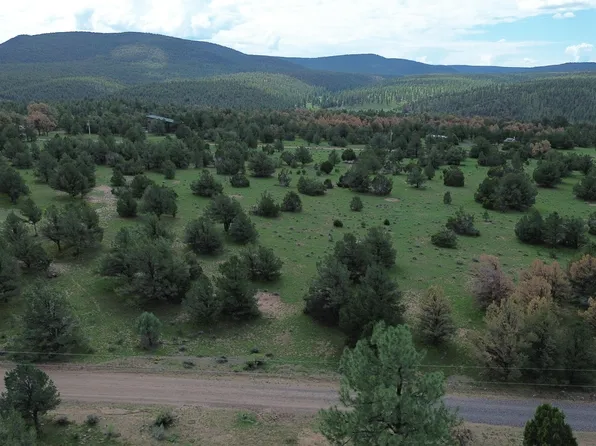 LOT N Twelve Largo Canyon Loop, Quemado, NM 87829