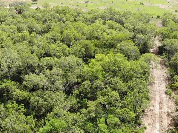 00 10th Street LOT MULTI, Christine, TX 78064