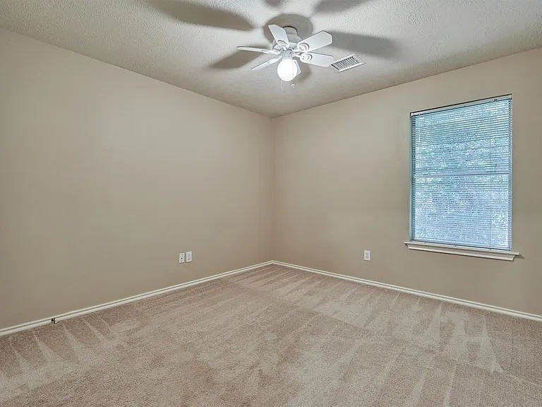 231 Blushwood Pl — Photo 23