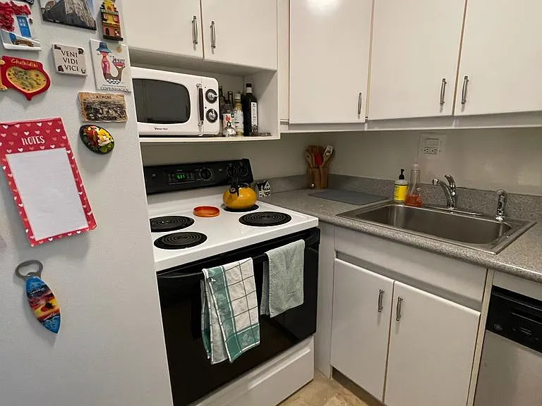 3100 N Lake Shore Dr #1410 — Photo 9