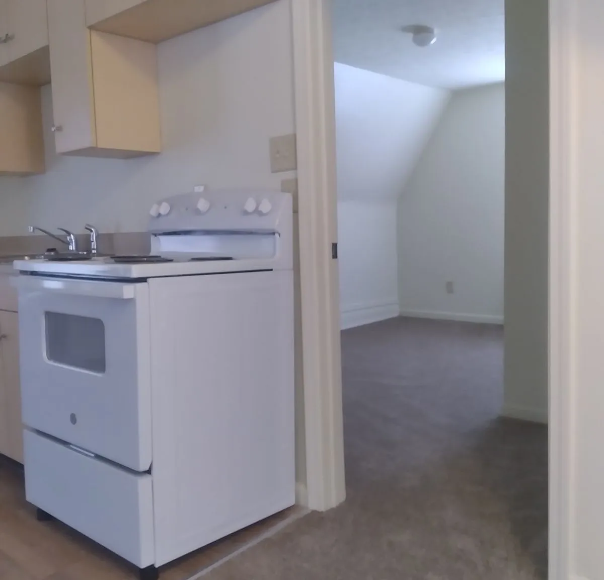 1 bed, $1,000 — Photo 4