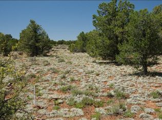2816 S Spruce Rd, Williams, AZ 86046