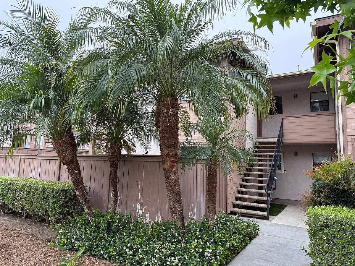 Building Photo - 1337 Massachusetts Ave #201