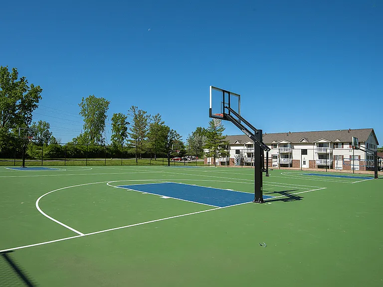 Apartment Basketball Court