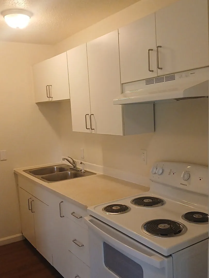 1 bed, $850 — Photo 3