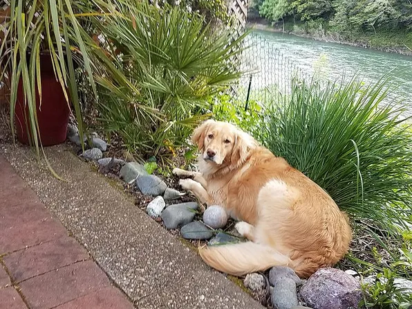 4215 Agness Rd, Agness, OR 97406