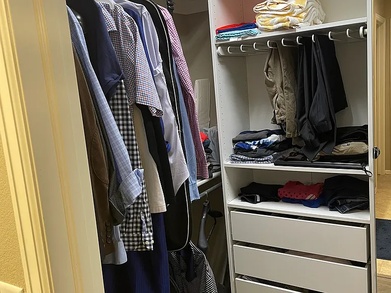 Walk in Closet with Organizer