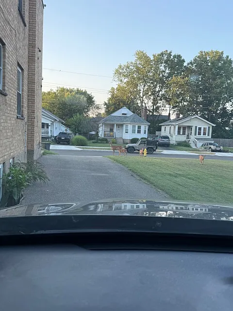1 bed, 740 sqft, $890 — Photo 4