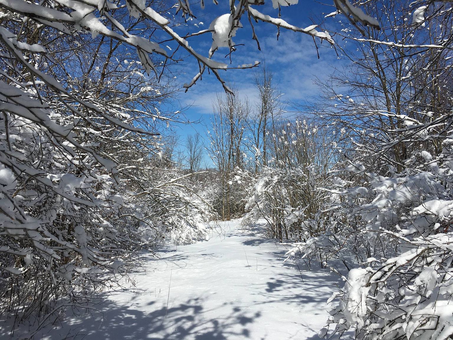 0 Trout Lake Rd B, Hermon, NY 13652 Zillow