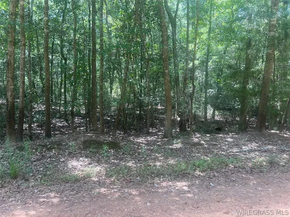 0 E Forest Dr Lot 36, Daleville, AL 36322