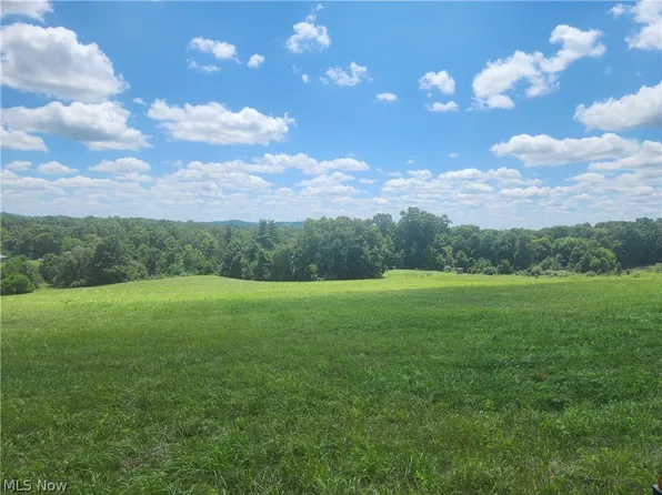 0 Shaver Rd, Blue Rock, OH 43720