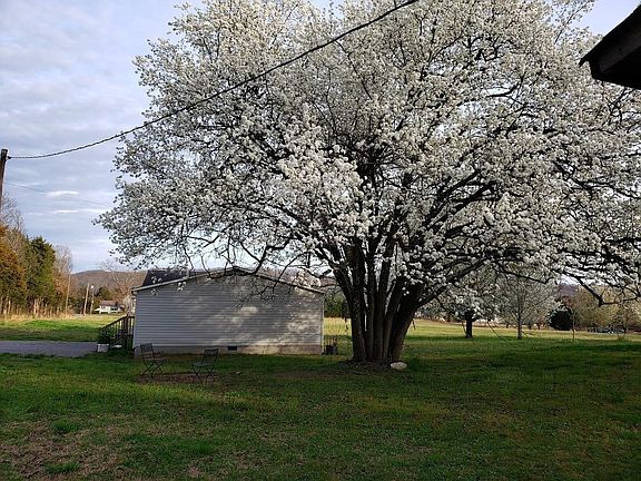 View from side of house - picture taken facing Mouse Creek Road.