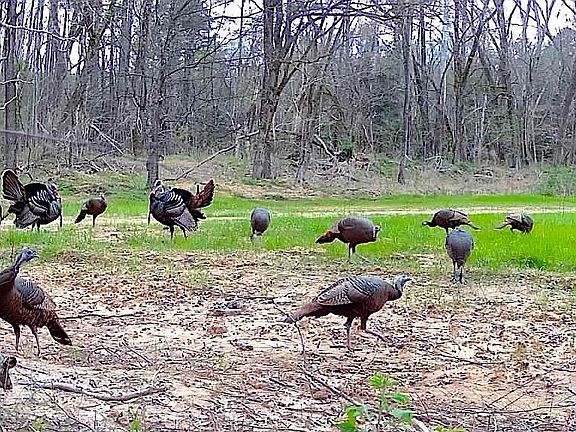4th image of 2530 W Fork Rd