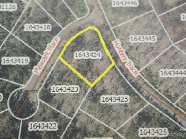 126 Pleasant Pl, Rutherfordton, NC 28139