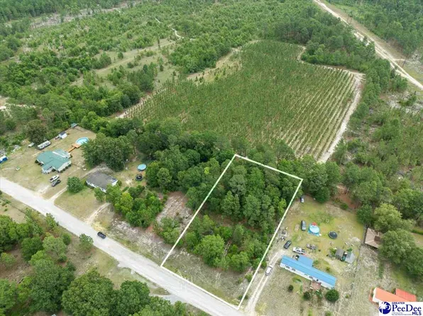 LOT 54 Doe Trl, Dillon, SC 29536