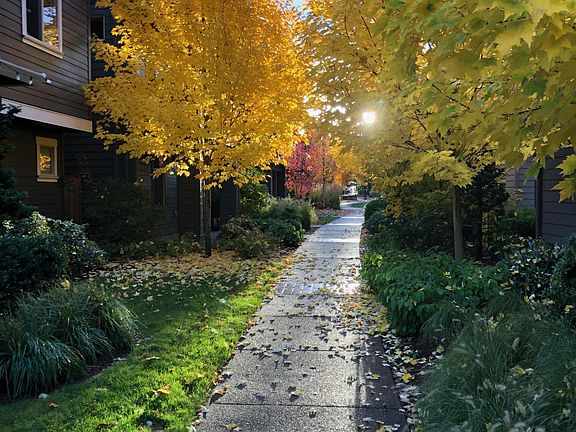 Walking path through the 45 Central neighborhood