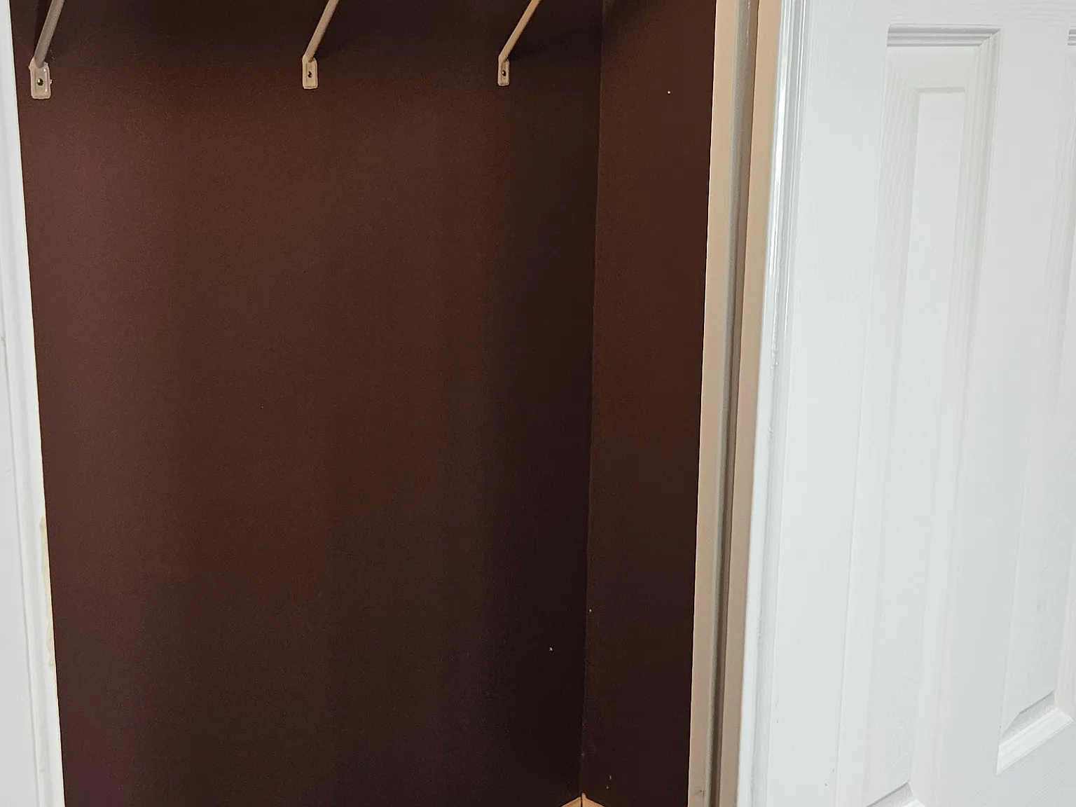 2 bed, 1000 sqft, $1,600 — Photo 2