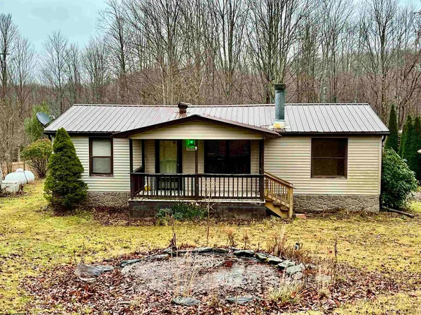 9179 Alexander Rd, French Creek, WV 26218