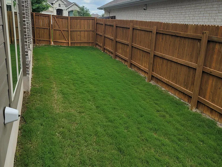 Spacious side yard