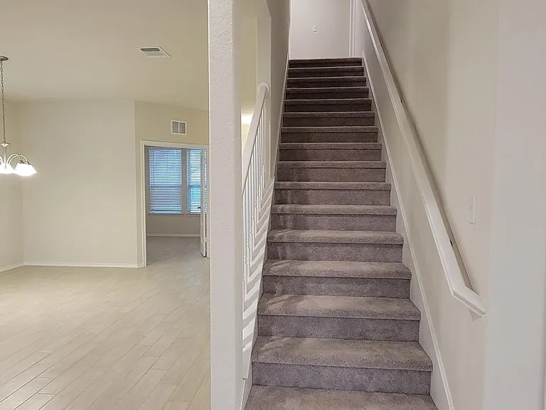 509 Black Alder St — Photo 15