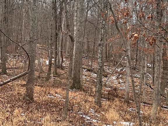 4th image of Hummingbird Ln