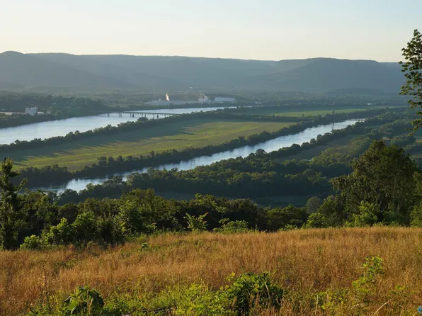 County Road 91, Bryant, AL 35958