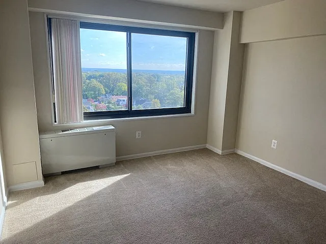 Silver Spring Towers — Photo 163