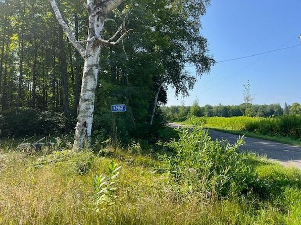 N9061 Schmidt Dr, Pickerel, WI 54465