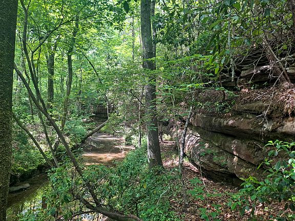 3rd image of Nix Rd