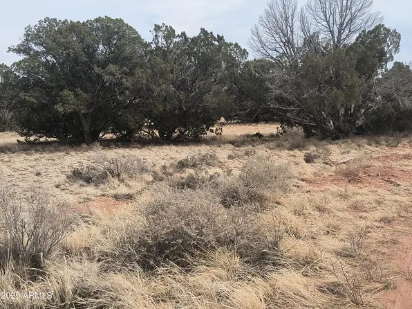 3543 E GREELEY Drive #135, Williams, AZ 86046