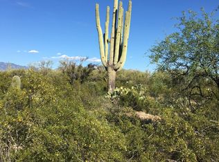 N Migitty Ln, Tucson, AZ 85742