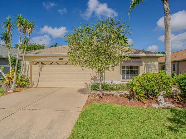 10801 Collar Dr, San Antonio, FL 33576