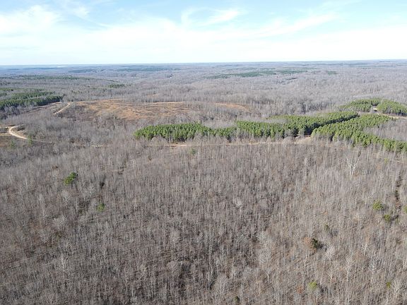 5th image of 0 N Fork Rd Lot 8B