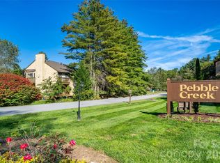 12 Pebble Creek Dr, Asheville, NC 28803