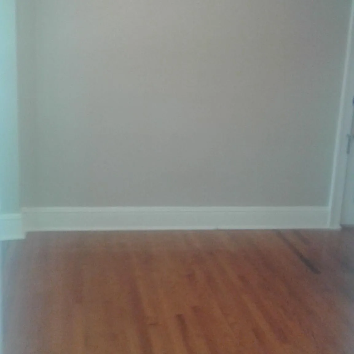 1 bed, 1100 sqft, $1,475 — Photo 4