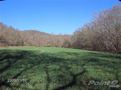 Just one of approx. 30 acres of bottom land that is level and runs along side the Licking River. Secluded and surrounded by big river maples, oaks and other trees.